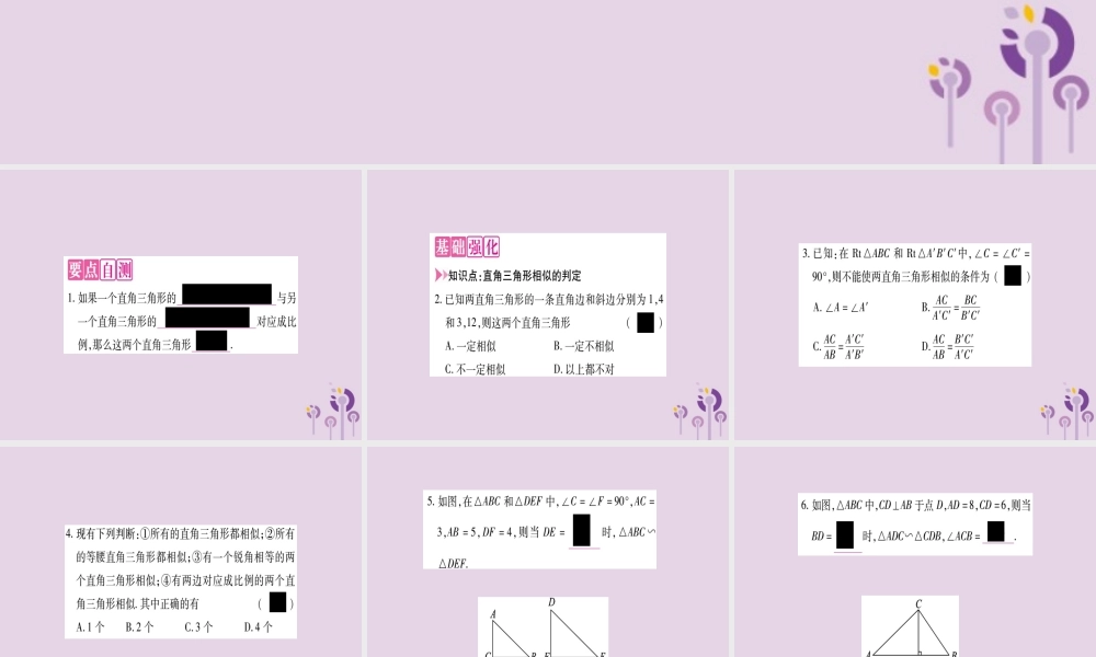 九年级数学上册 第22章 相似形 222 相似三角形的判定 第5课时 直角三角形相似的判定作业课件 (新版)沪科版 课件