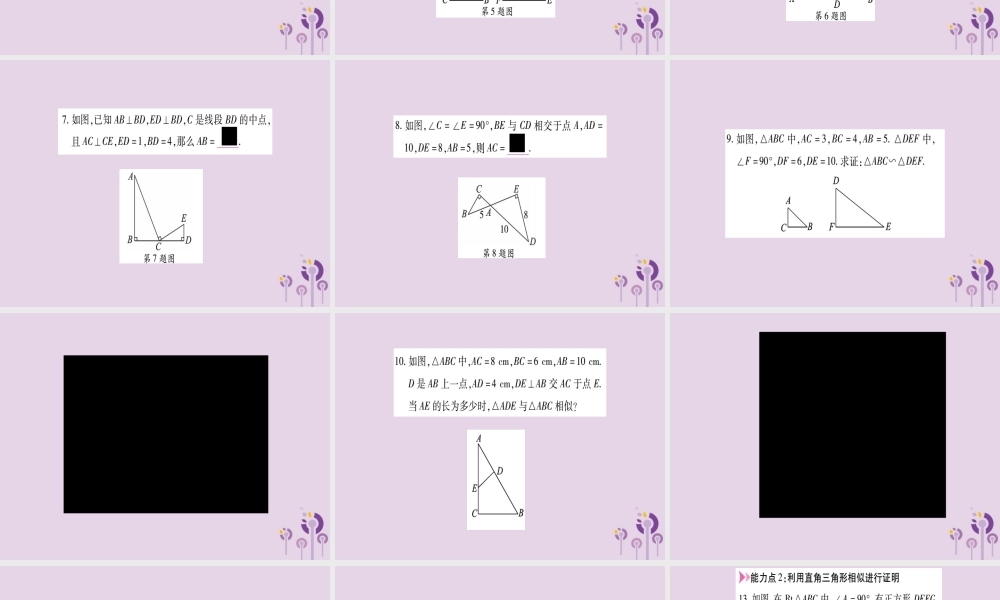 九年级数学上册 第22章 相似形 222 相似三角形的判定 第5课时 直角三角形相似的判定作业课件 (新版)沪科版 课件