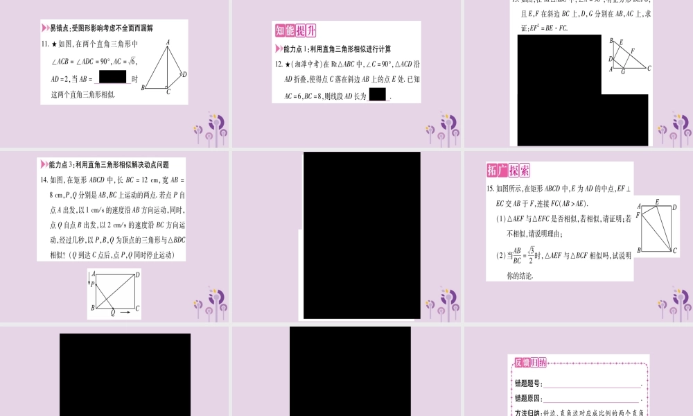九年级数学上册 第22章 相似形 222 相似三角形的判定 第5课时 直角三角形相似的判定作业课件 (新版)沪科版 课件