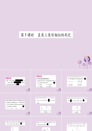 九年级数学上册 第22章 相似形 222 相似三角形的判定 第5课时 直角三角形相似的判定作业课件 (新版)沪科版 课件