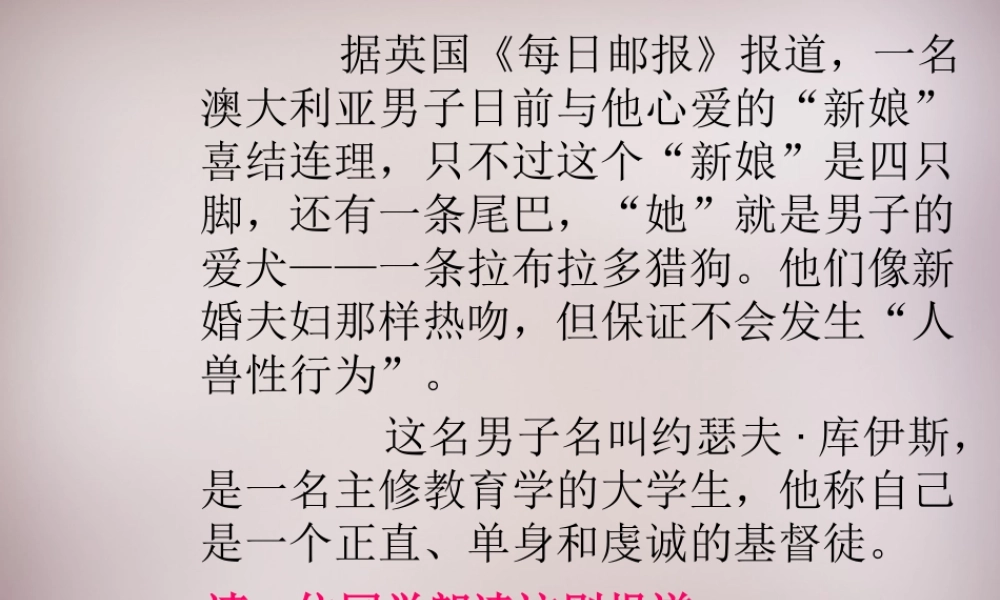 八年级语文上册 第四单元 第16课(山米与白鹤)课件 (新版)语文版 课件