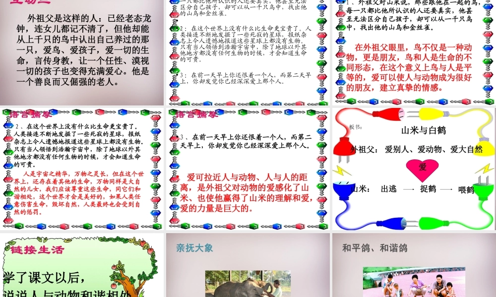 八年级语文上册 第四单元 第16课(山米与白鹤)课件 (新版)语文版 课件