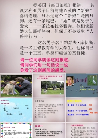 八年级语文上册 第四单元 第16课(山米与白鹤)课件 (新版)语文版 课件