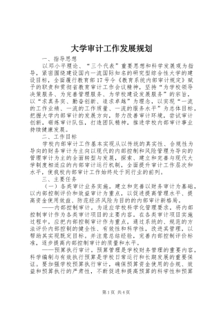 大学审计工作发展规划