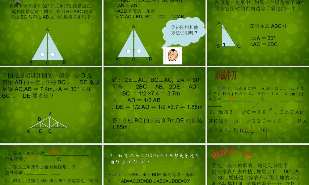八年级数学上册 12.3.2 等边三角形课件 新人教版 课件