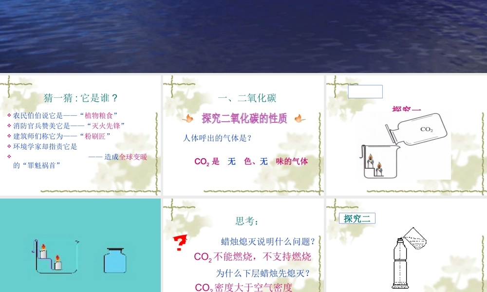 二氧化碳和一氧化碳