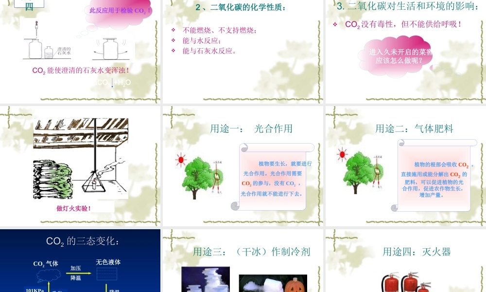 二氧化碳和一氧化碳