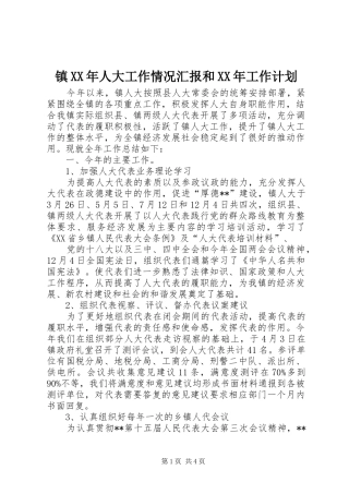 镇XX年人大工作情况汇报和XX年工作计划