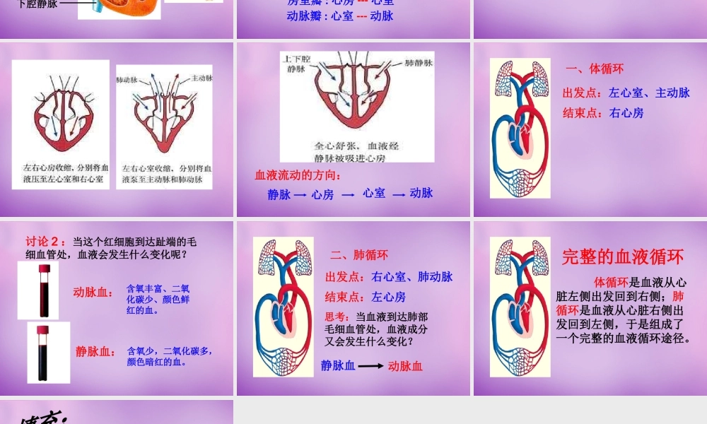 中学七年级生物下册 第四单元(4.3 输送血液的泵—心脏)课件 新人教版 课件