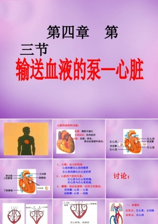中学七年级生物下册 第四单元(4.3 输送血液的泵—心脏)课件 新人教版 课件