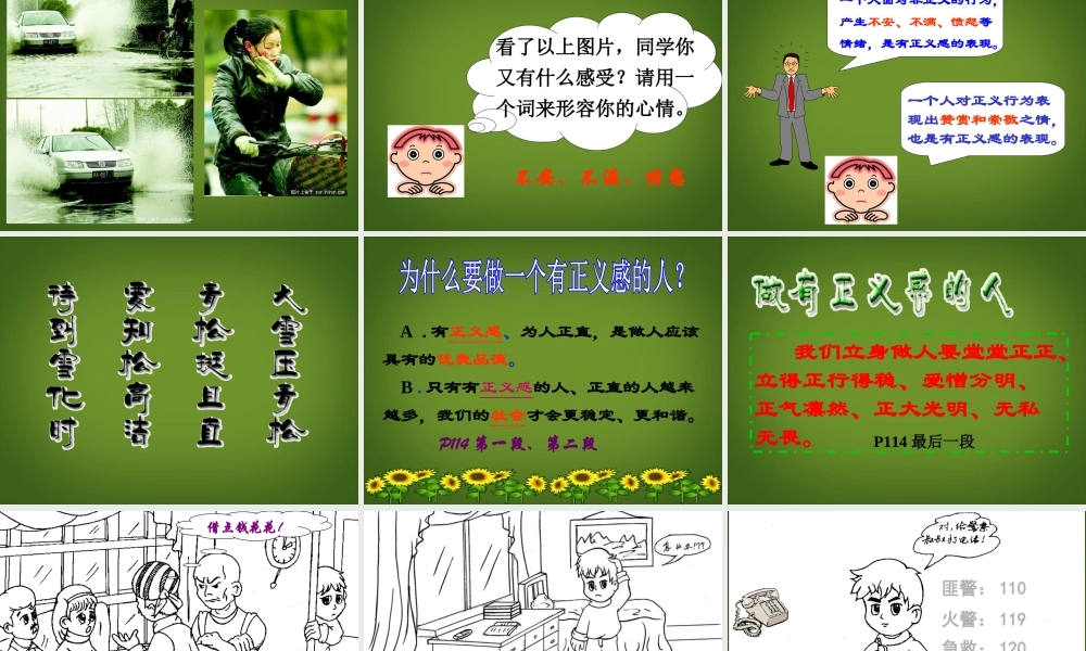 八年级政治下册(自觉维护正义)课件 新人教版 课件