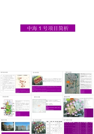 中海1号项目简析最终版