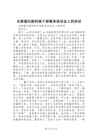 在新提任副科级干部集体谈话会上的讲话