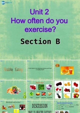 八年级英语上册 Unit 2 How often do you exercise？Section B课件 (新版)人教新目标版 课件