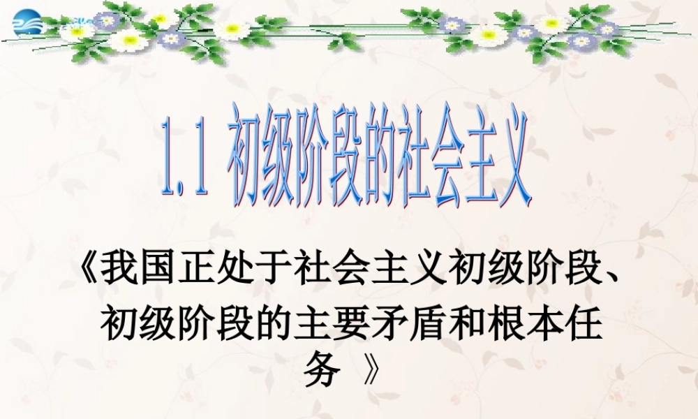 九年级政治全册 第一单元 第一课 初级阶段的社会主义课件 粤教版 课件