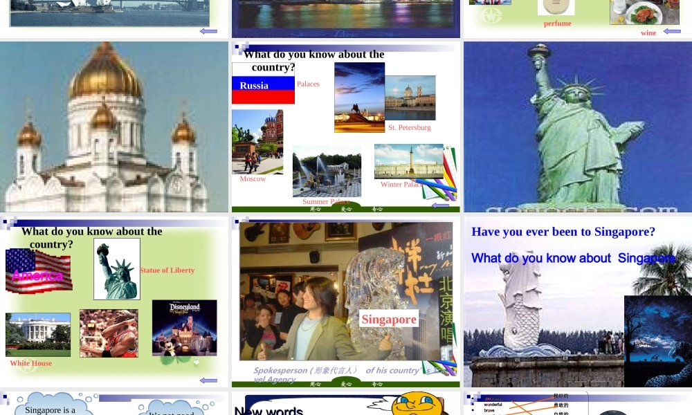 八年级英语下册 Unit9 Have you been to Singapore_课件2 人教新目标版 课件