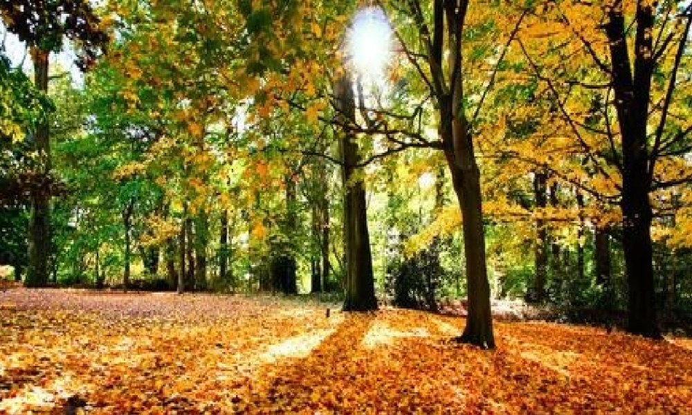 12听听-秋的声音