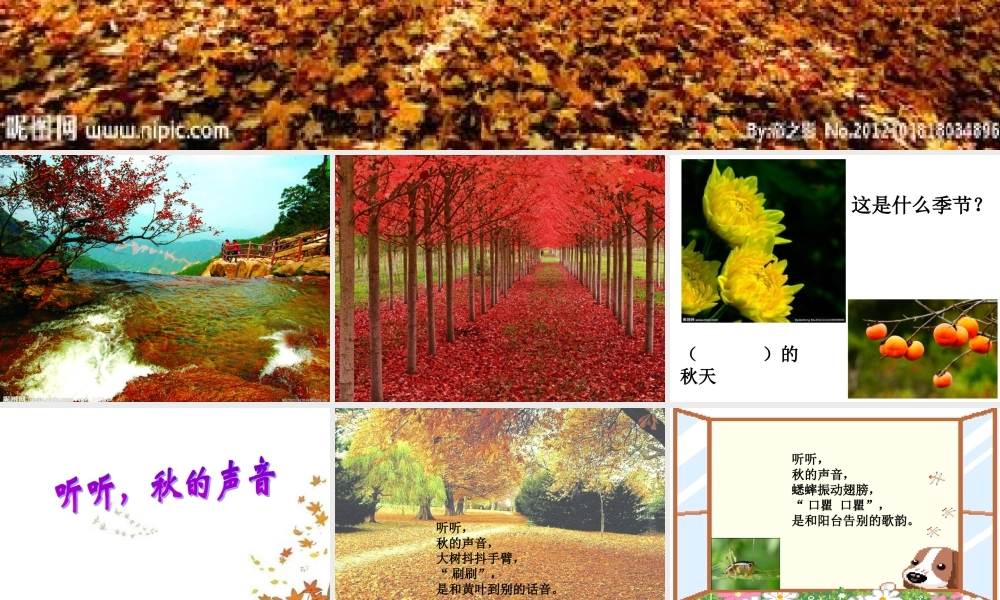 12听听-秋的声音