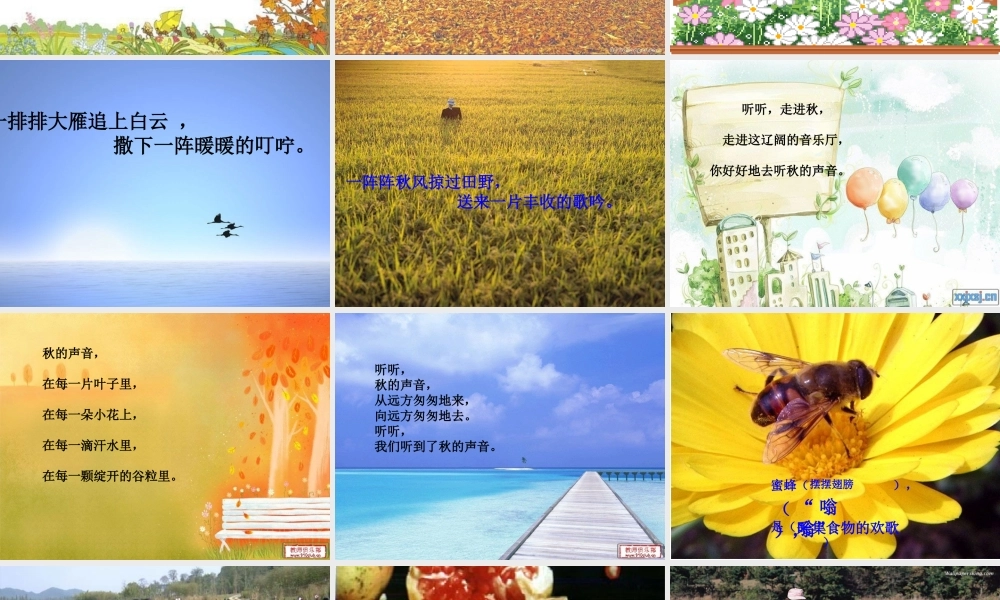 12听听-秋的声音