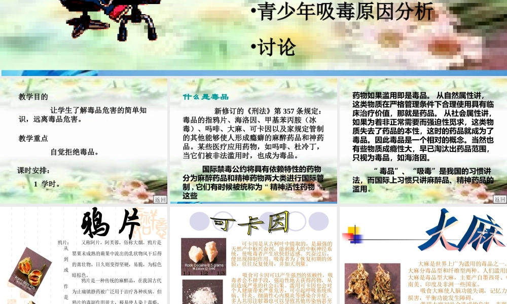 八年级生物下册 珍爱生命 拒绝毒品(三)课件 苏科版 课件