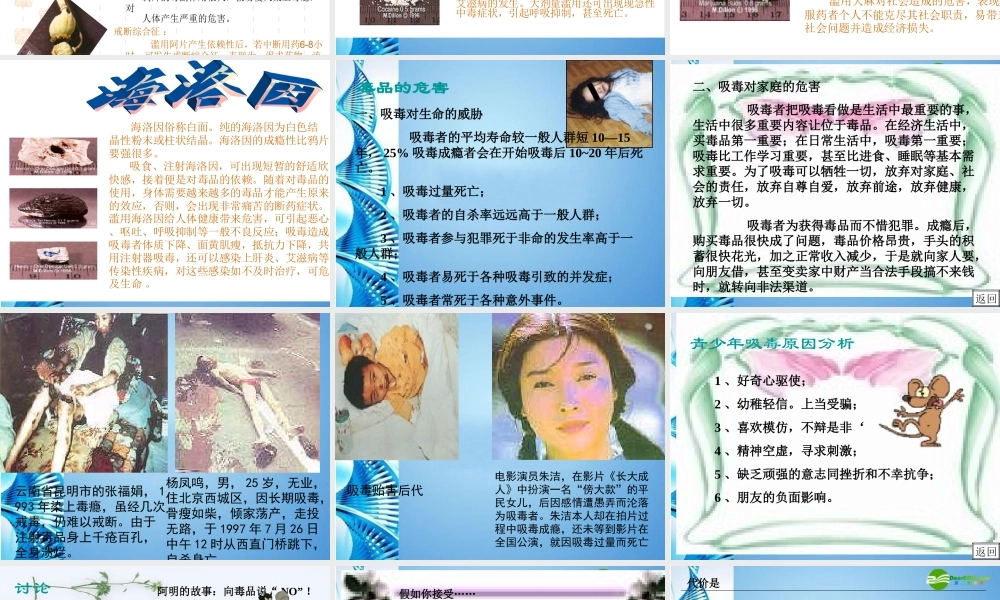 八年级生物下册 珍爱生命 拒绝毒品(三)课件 苏科版 课件