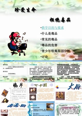 八年级生物下册 珍爱生命 拒绝毒品(三)课件 苏科版 课件