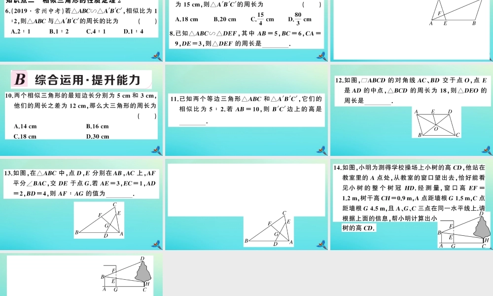 九年级数学上册 第22章 相似形 223 相似三角形的性质 第1课时 相似三角形的性质定理1、2作业课件 (新版)沪科版 课件