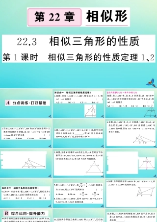 九年级数学上册 第22章 相似形 223 相似三角形的性质 第1课时 相似三角形的性质定理1、2作业课件 (新版)沪科版 课件