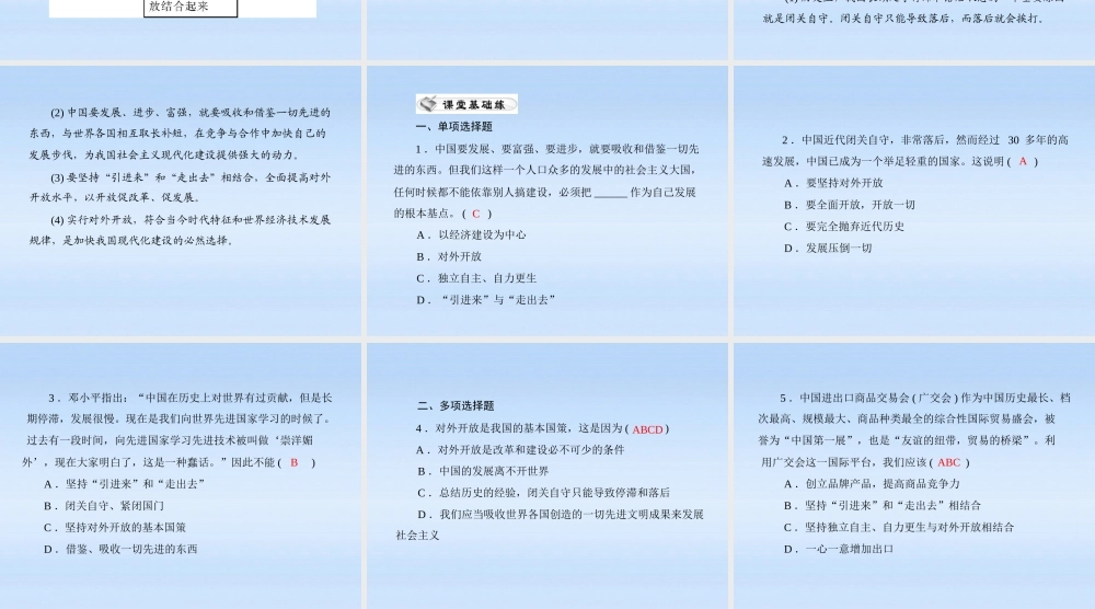 九年级政治 第二单元第四课第1课时(对外开放的基本国策)课件 人教新课标版 课件