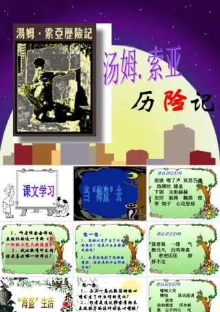 汤姆·索亚历险记