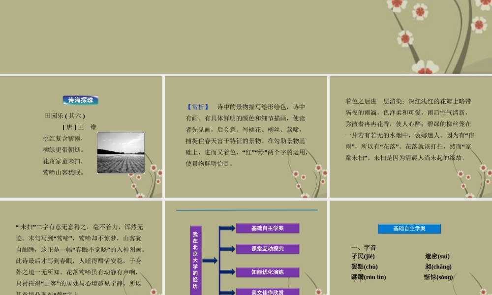 大学的经历课件 苏教版选修(传记选读) 课件