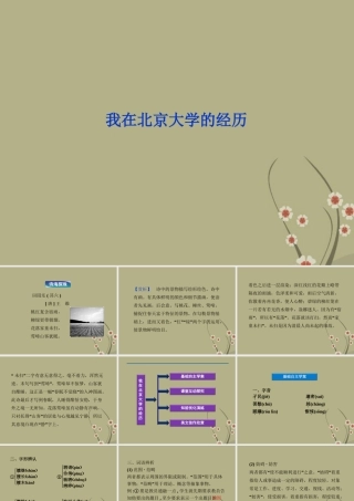 大学的经历课件 苏教版选修(传记选读) 课件