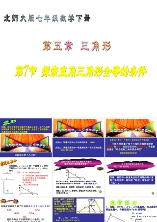 探索直角三角形全等的条件