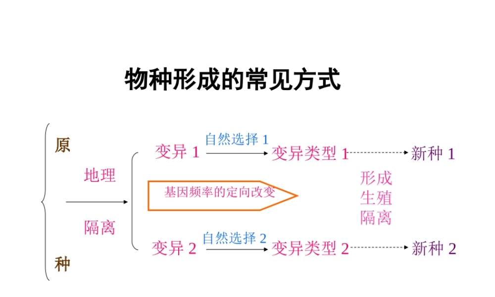 八年级生物生物进化2课件