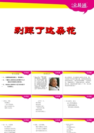 26.别踩了这朵花