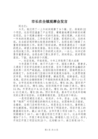 市长在全镇观摩会发言