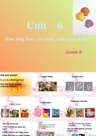 八年级英语上册 How long have you been collecting shells课件 人教新目标版 课件