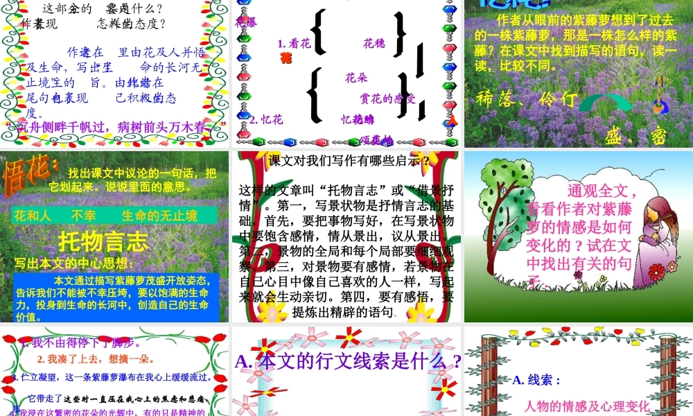 七年级语文上册(紫藤萝瀑布)课件人教版 课件