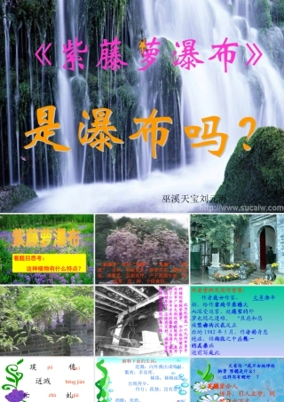 七年级语文上册(紫藤萝瀑布)课件人教版 课件