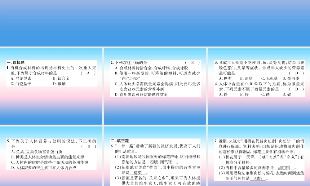 中考化学复习 第1编 教材知识梳理篇 第12单元 化学与生活(精练)课件