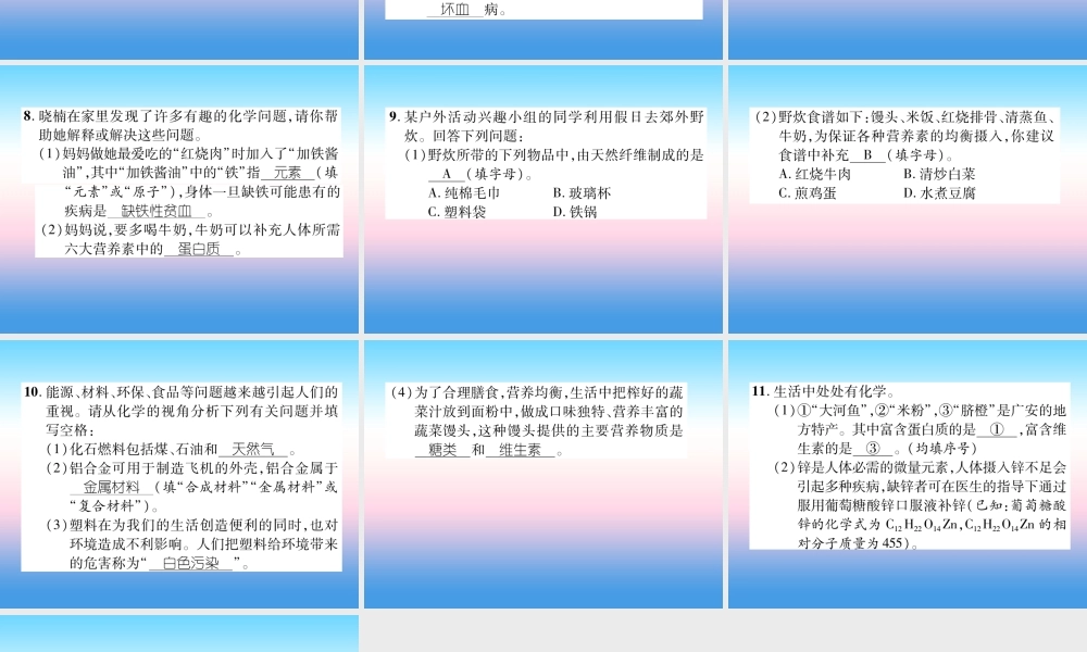 中考化学复习 第1编 教材知识梳理篇 第12单元 化学与生活(精练)课件