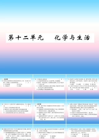 中考化学复习 第1编 教材知识梳理篇 第12单元 化学与生活(精练)课件