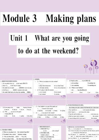 七年级英语下册 Module 3 Making plans Unit 1 What are you going to do at the weekends习题课件 (新版)外研版 课件