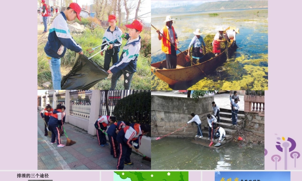 七年级生物上册 4.5.2汗液的形成和排出课件 鲁科版五四制 七年级生物上册 4.5.2汗液的形成和排出课件+素材 鲁科版五四制-2