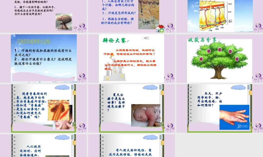 七年级生物上册 4.5.2汗液的形成和排出课件 鲁科版五四制 七年级生物上册 4.5.2汗液的形成和排出课件+素材 鲁科版五四制-2