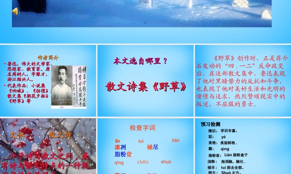 初级八年级语文下册 6 雪课件 (新版)新人教版 课件