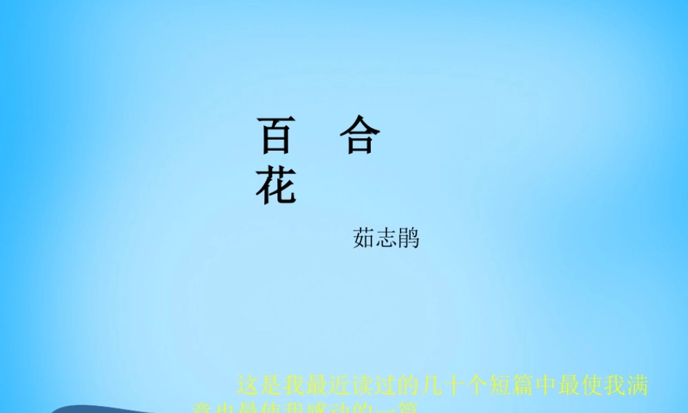 九年级语文下册 415 百合花课件 语文版 课件