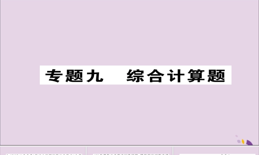 中考化学复习 第二编 重点题型突破篇 专题9 综合计算题(精练)课件