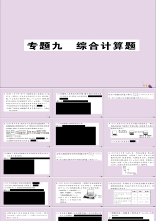 中考化学复习 第二编 重点题型突破篇 专题9 综合计算题(精练)课件