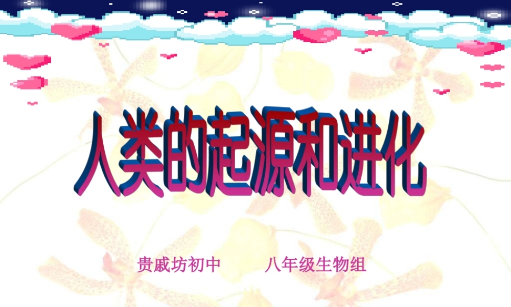 人类的起源和进化